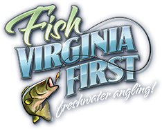 Fish Virginia First